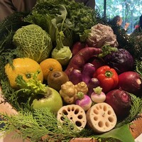 レフェルヴェソンス - 