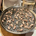 eman - ホタルイカとイカ墨のパエリヤ