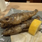 たまの井はん - 