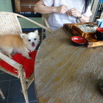 茶房 遊 - 広々デッキでワンコも一緒