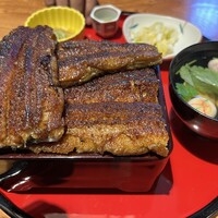 鰻う おか冨士 - 特うな重(うなぎ3尾)