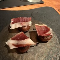 Potoro - 