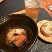 Potoro - 