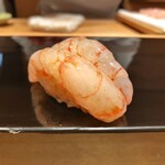 恵比寿 鮨 ふじまさ - シマエビ