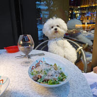 LE BISTRO - やはり・・砂肝の存在に気がついてしまいました！！