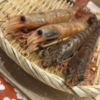 鮨 銀座おのでら - 