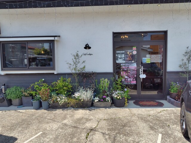 Cafe ユーカリ（カフェ ユーカリ） - 陸前豊里（カフェ）の写真