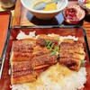 大枡 - うな重
