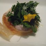 レストラン タテル ヨシノ - 