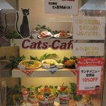 cats cafe - 