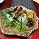 天ぷら はせ川 - イカのお造り　彩り良い一皿になってます