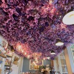 花カフェ コキア - 