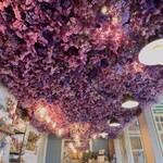 花カフェ コキア - 