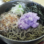 伯蕎庵 しばた - そばセット750円（H26.8)：おろしそば（辛味だいこん）