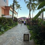 maitai bar - 