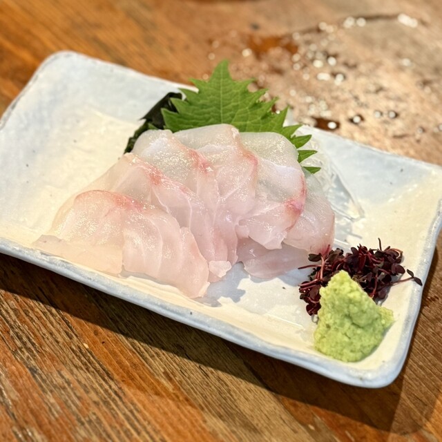 Tori Moto 2go Ten photo 5