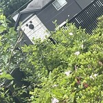 そば処 砂武縞 - 気になる^_^