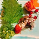 別邸 きときと - 