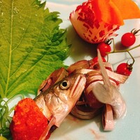 別邸 きときと - 