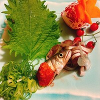 別邸 きときと - 