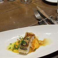 BISTRO DOUBLE - 