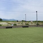 音の和カフェ - 北側にはヘーゼルナッツ園が。