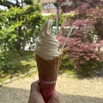 金澤 烏鶏庵 - 料理写真:烏骨鶏卵そふとくりーむ