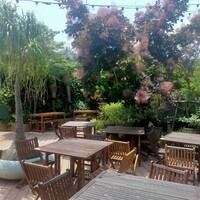 TOOTH TOOTH GARDEN RESTAURANT - 