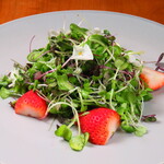 Osteria Splende - 