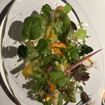 レフェルヴェソンス - 