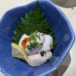函館 まるかつ水産 - 鯛の白子。