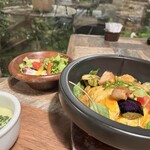 農園レストラン トリトン - 