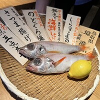 魚の中俣 銀座 - 