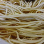 丸鶏中華そば（麺アップ）