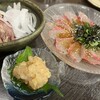 新宿っ子居酒屋 とととりとん