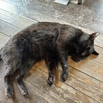 森のcafe - くろちゃん