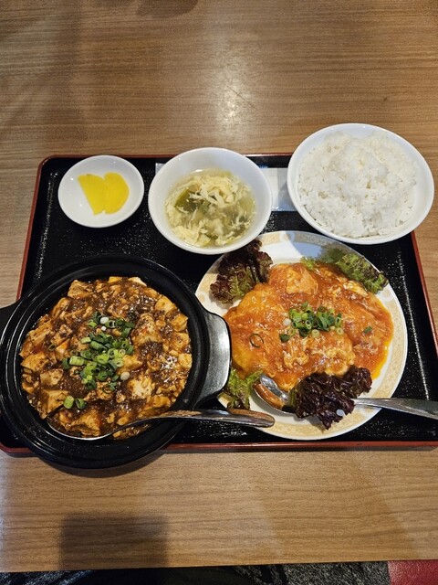 Taiwanese Fukuryu Hiroshimashiasaminamiku Aita Ten photo 2