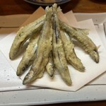 居酒屋 盛 - 