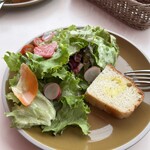 アマルフィイ デラセーラ - 