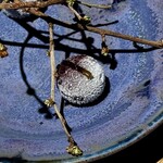 レスピラシオン - 