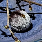 レスピラシオン - 