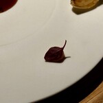 レスピラシオン - 