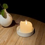 レスピラシオン - この「respiracion」という名の通り、料理の一皿一皿が自然と人との呼吸を重ね、空間と時間を越えて記憶に残る体験を作ってくれる場所でした。次に訪れるとき、またどんな「呼吸」が待っているのか——想像するだけで心が躍ります。