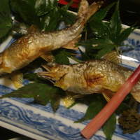 近又 - 鮎の美味さが桁違い！
