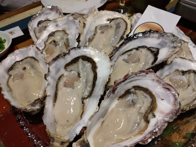 Napoli Pizza Oyster & Wine Ozone Bar Oysters