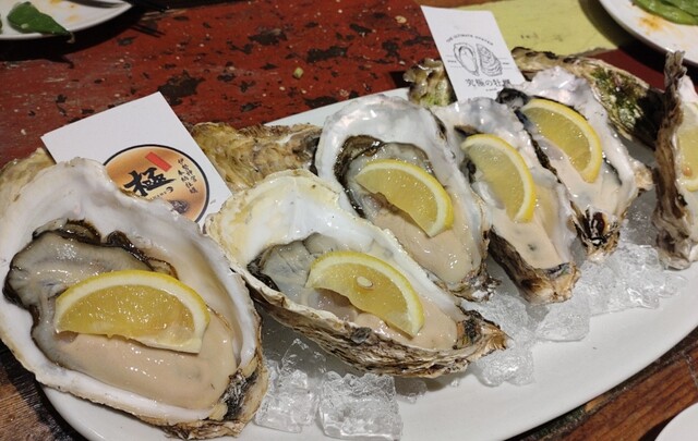 Napoli Pizza Oyster & Wine Ozone Bar Oysters photo 2