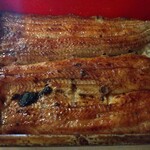 はし本 - 鰻重特上