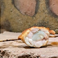 恵比寿とりひろ - 