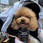 RHC CAFE - カリカリ食べてご機嫌ｗ