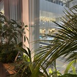 301120838 - 開放的な窓からは、電車の上がり口のところが見え、吹き抜けになっている部分の景色が見えるので、とてもくつろげます。(❀^ω^)ﾉﾞ